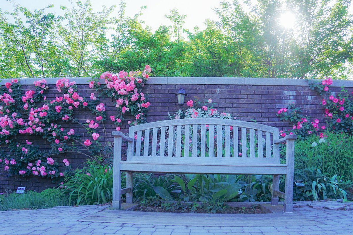 ゆん (@yn_place) / Posts / X