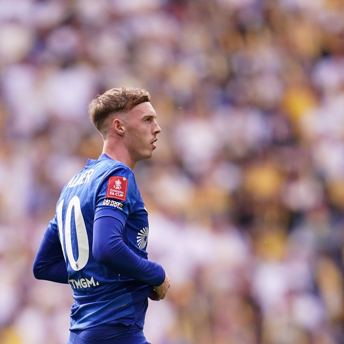 Absolute Chelsea tweet media