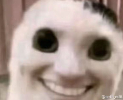 naominootnoot's tweet image. me n my sister smoked and now im high as a cookie back in bed with snacks n rewatching bojack horseman #PERFECT