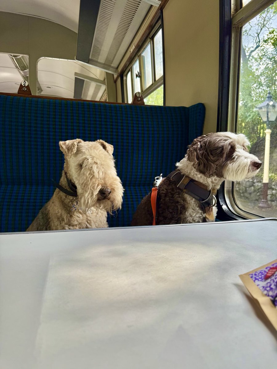 Bertie Lakeland tweet media