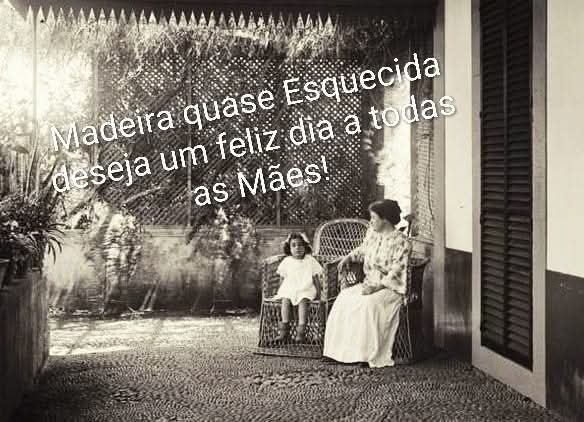 Madeira Quase Esquecida tweet media