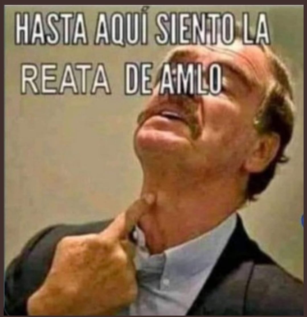 Rodrigo tweet media