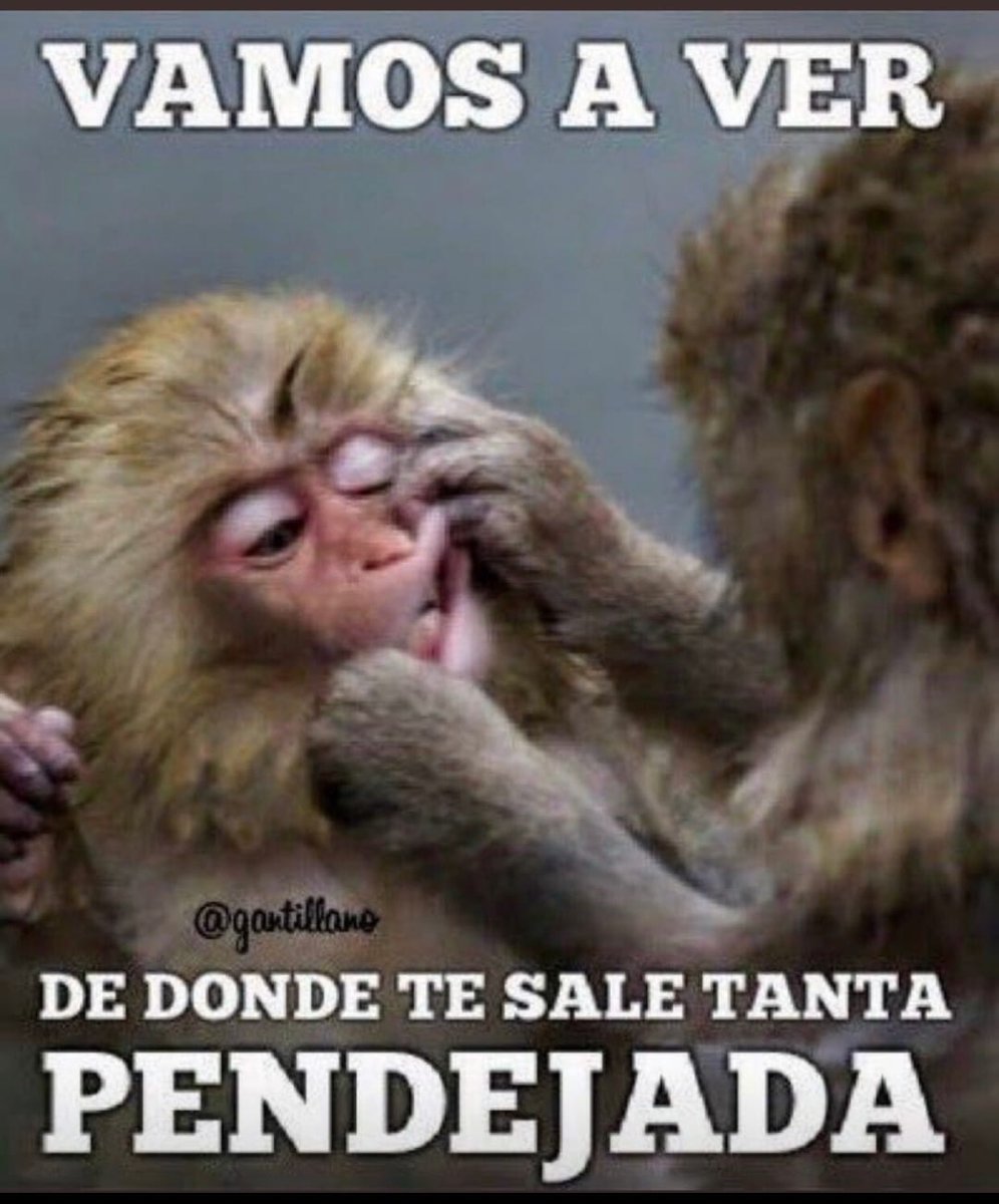 Rodrigo tweet media