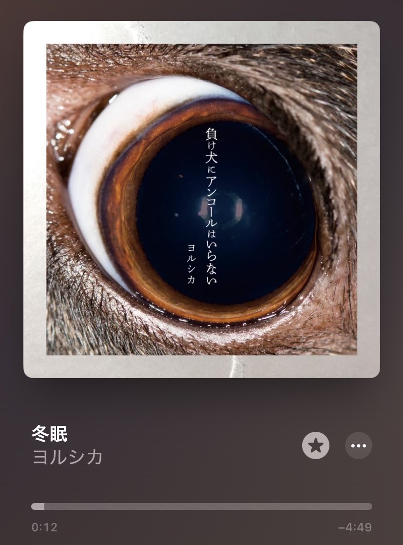 青鹿 🩵🦌 tweet media