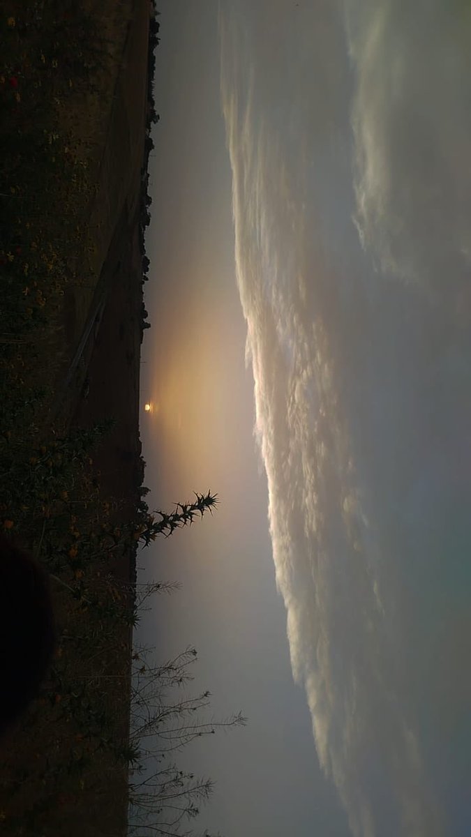 🇲🇦مغربية افتخر 🇲🇦 tweet media