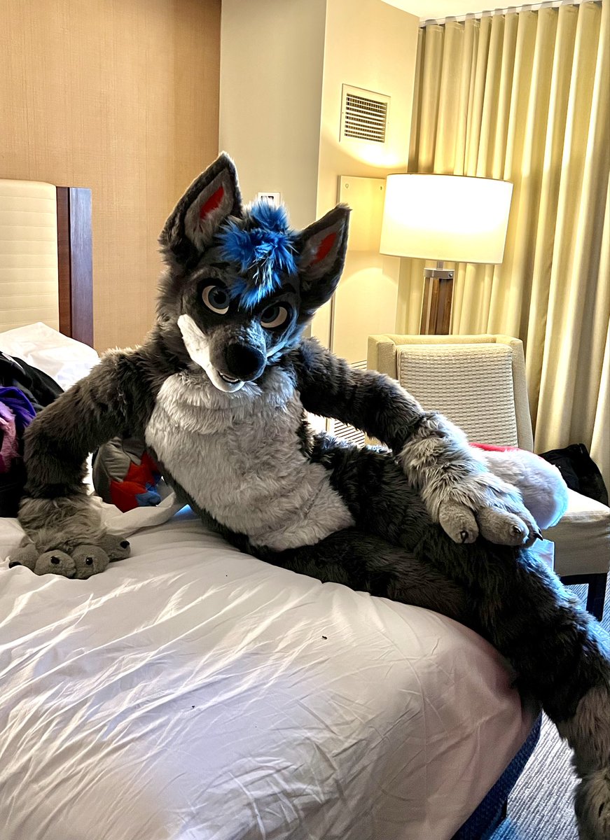 Post your first pic of fursuit!

Received him the DAY I left for MFF