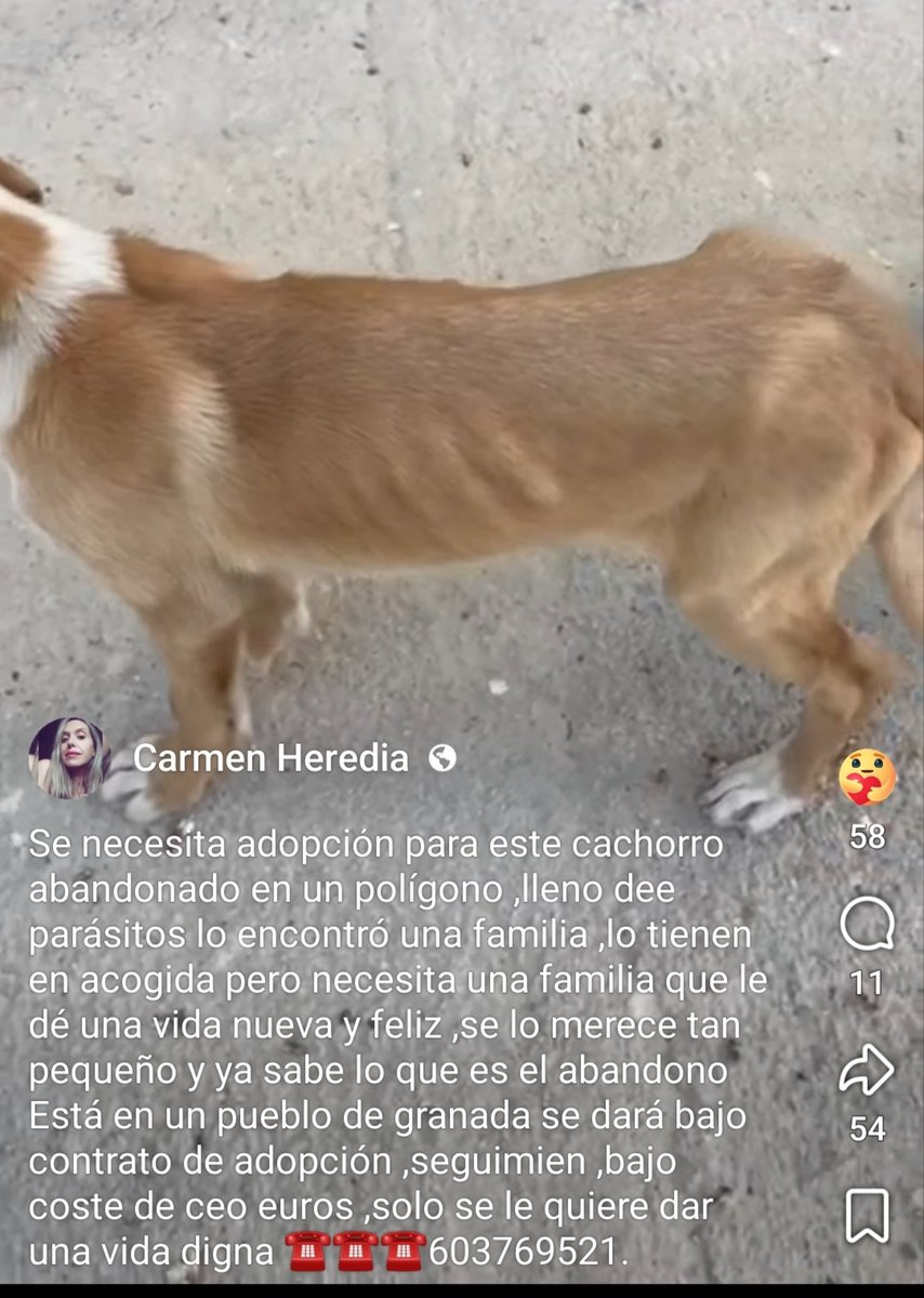 María Viñuela del Jeso tweet media