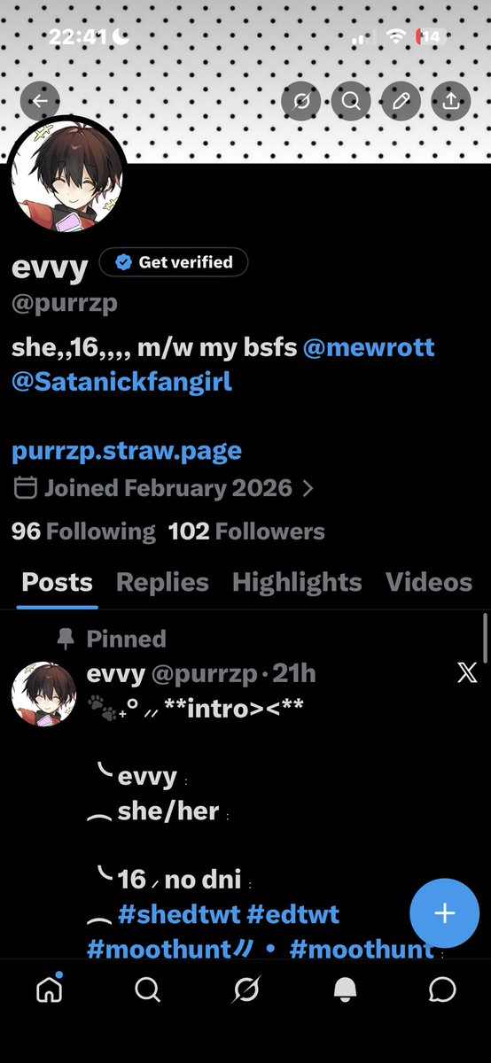 evvy tweet media