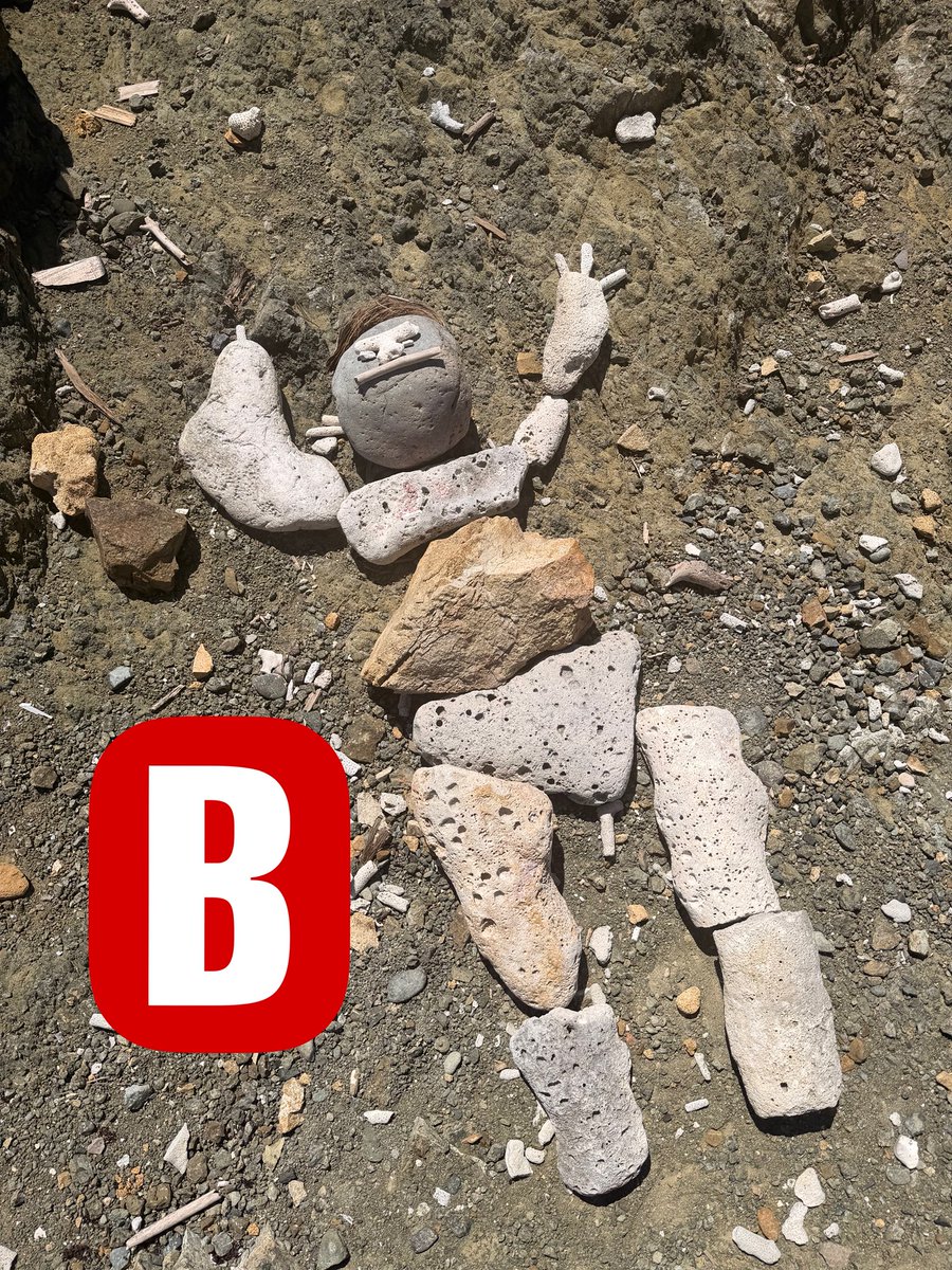 Peter B tweet media