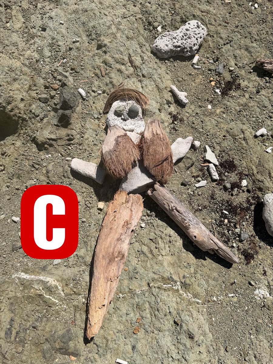 Peter B tweet media