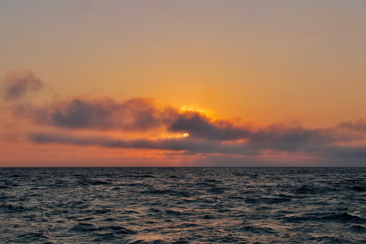 DeepGreens2's tweet image. #Sunset #Nature #Photography #BeachLife