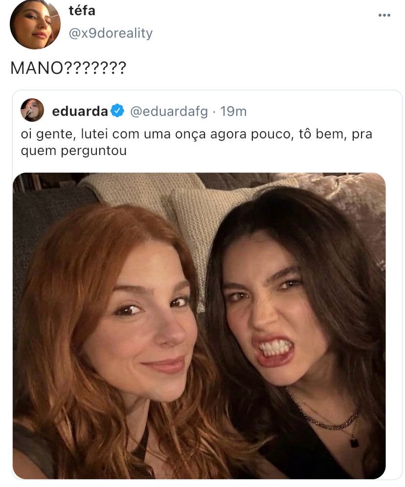 ste tweet media