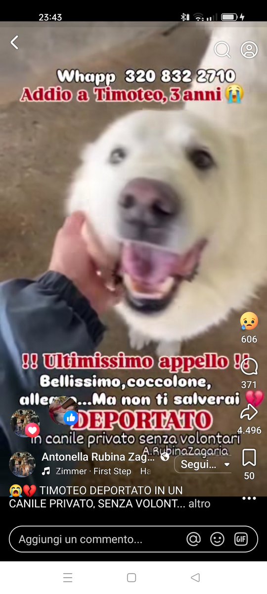 Claudia Benvenuti tweet media