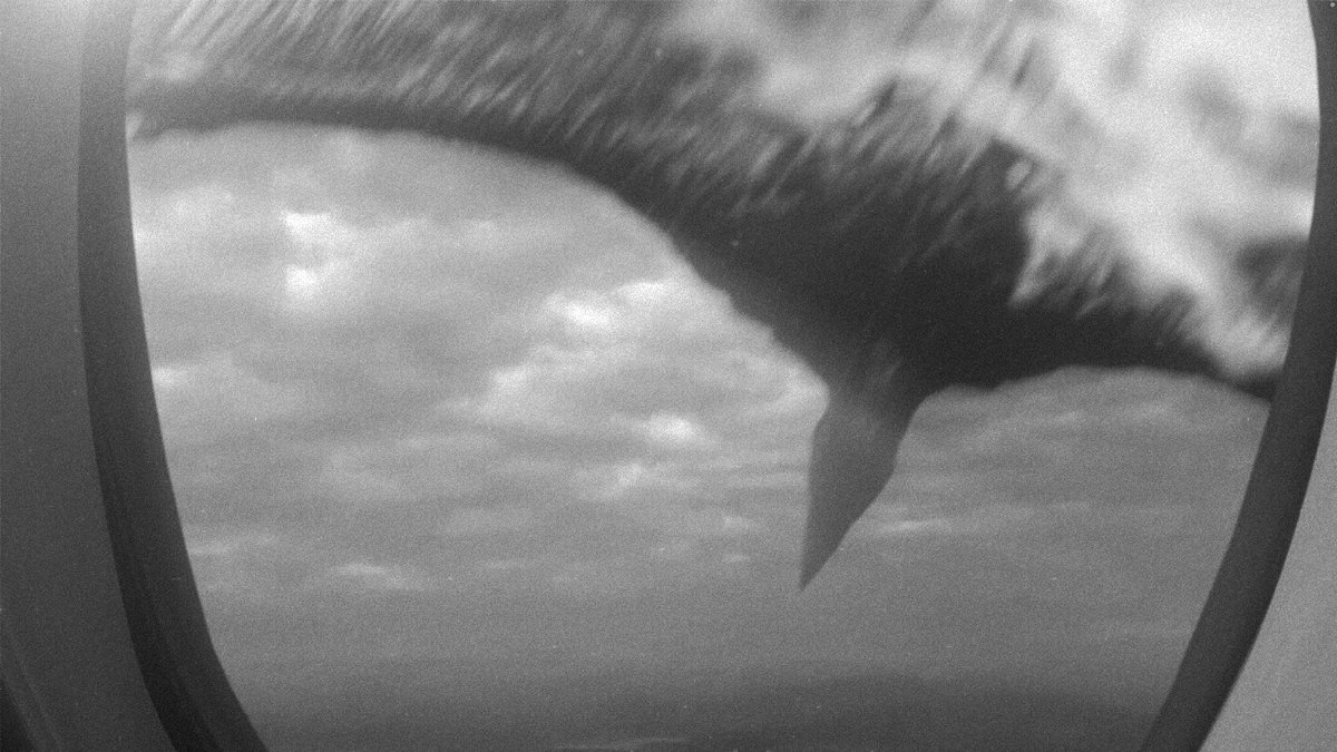 Kaijutopia tweet media