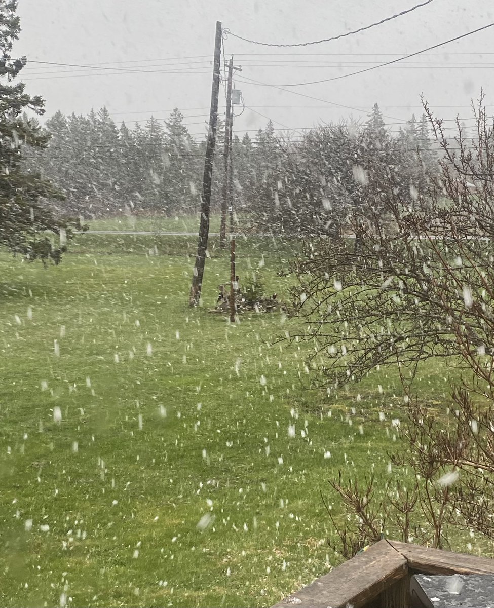 StormBrain902 tweet media