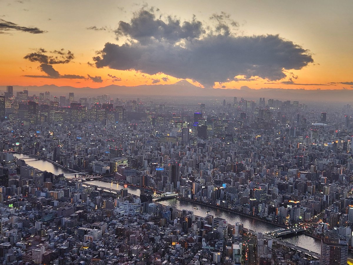 SaraSalaza93498's tweet image. See you at the top. Tokyo.
#Skyline