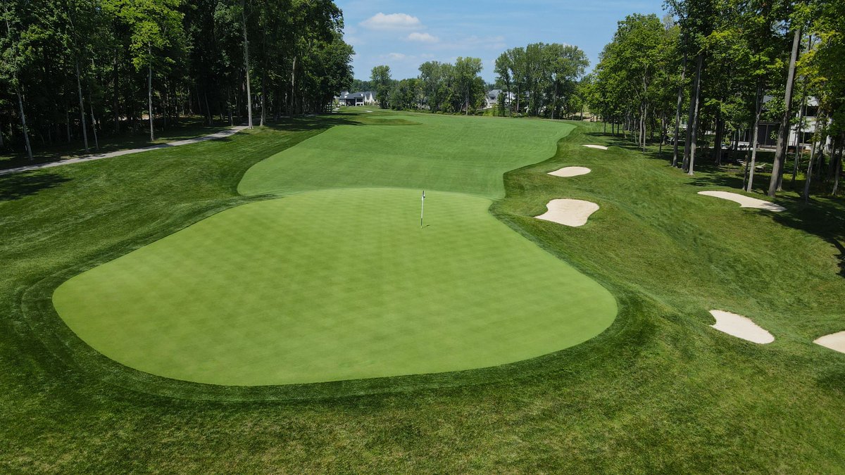 Tee-2-Green tweet media