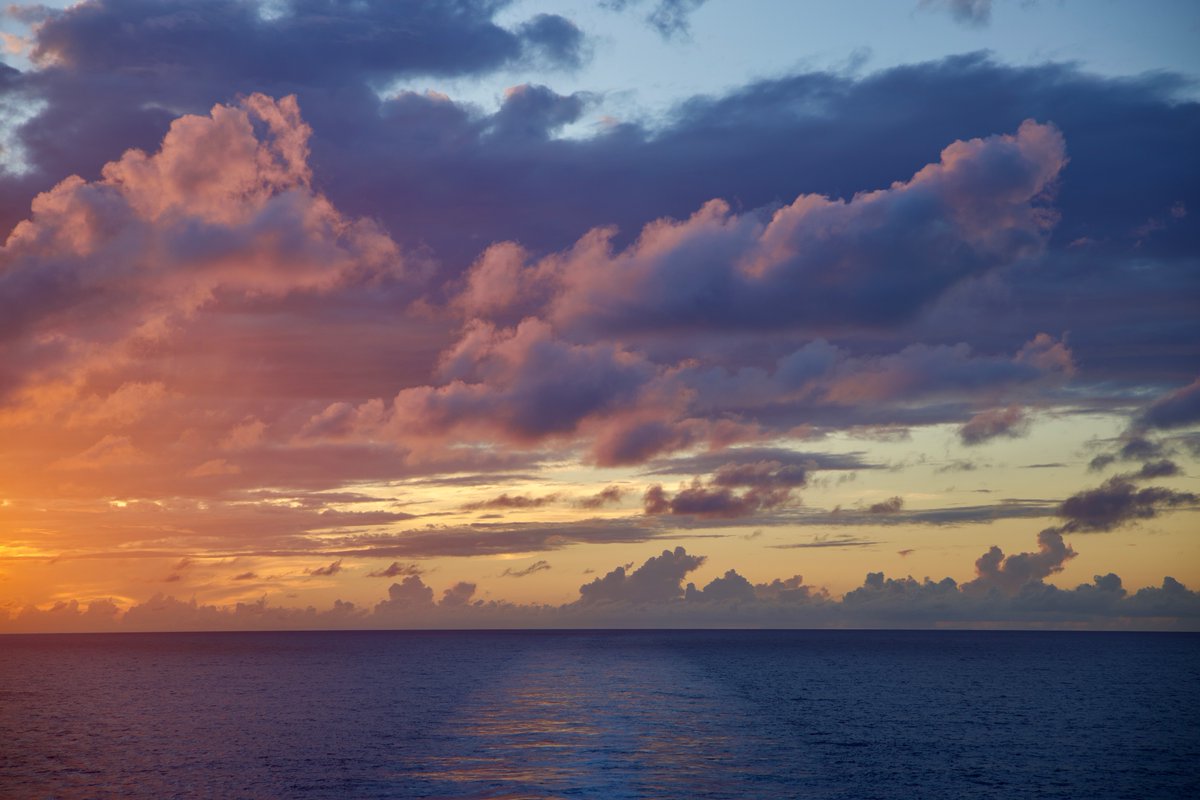 DeepGreens2's tweet image. Tropical Evenings...🌺#BeachLife #Photography #Nature #Canon #Sunset
