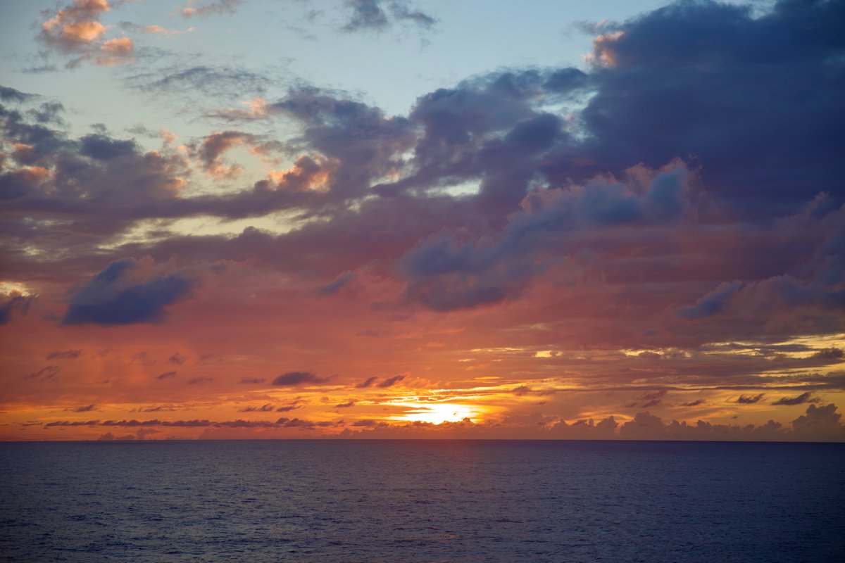 DeepGreens2's tweet image. Tropical Evenings...🌺#BeachLife #Photography #Nature #Canon #Sunset
