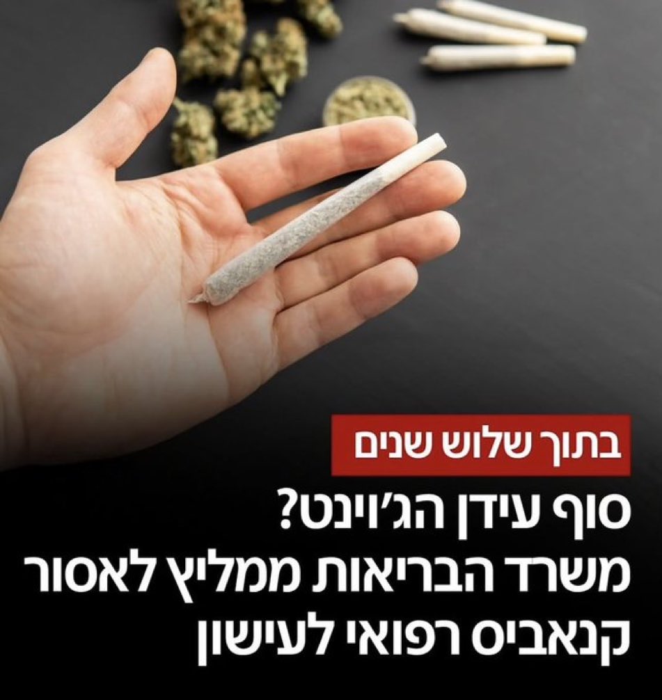 ראש הממשלה עידו 🇦🇹 tweet media