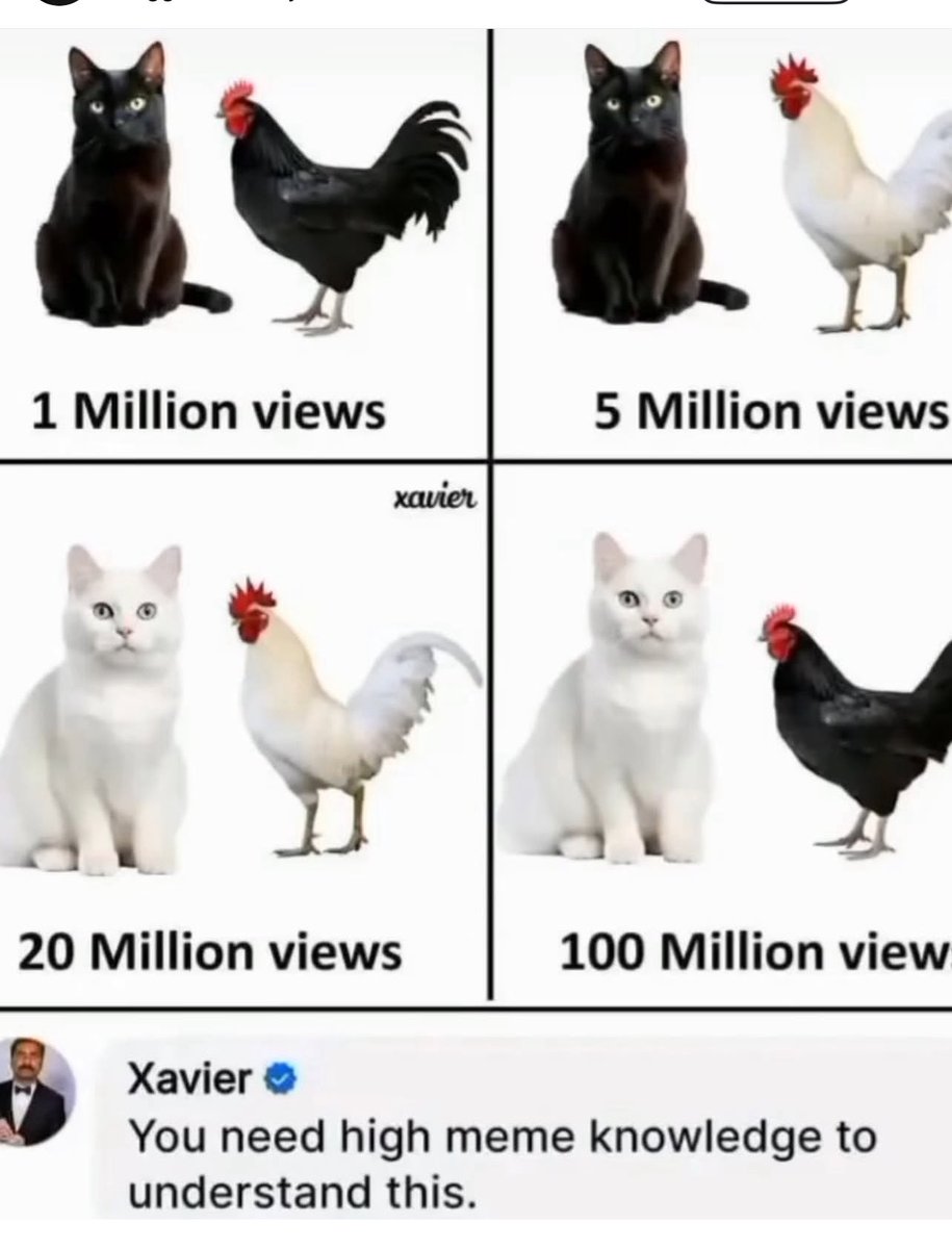 deezz ? tweet media