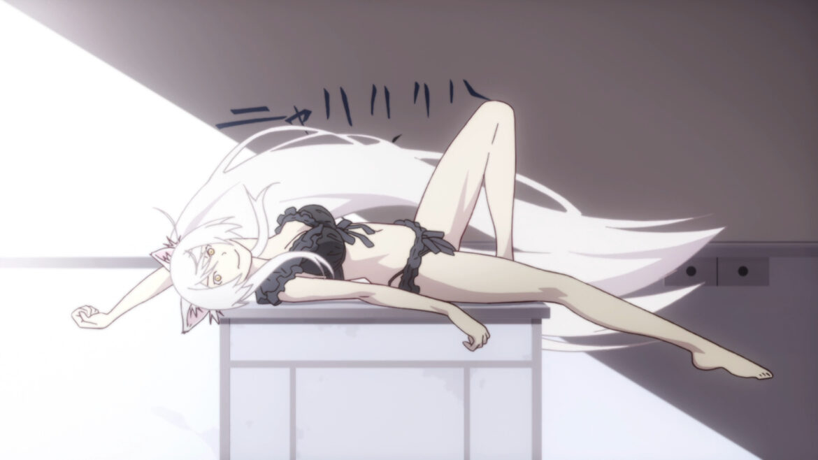 monocaralho's tweet photo. Depois que eu assisti Monogatari, comprei uma gata fêmea e daleeeee plap plap, pena que faleceu https://t.co/KWXPBlIrc6