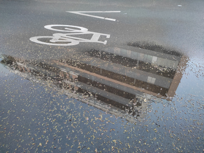 neocyclopi's tweet photo. Thunderstorm🌩️ or Not Thunderstorm this Evening?
@The_Life_Bomb🌱 #PassiveMode Risk-Free
⚡️45 Energies in One Click
🪙 Daily Earnings: 513.62 $CATKN 🐝
✕ Guardian Bonus Disabled this Time
And Then Short Walks🚶 Between Raindrops🌧️
✅ Weekly Challenges 50km Achieved #ProgressOfTheWeek #SeasonPass
#M2E #EcoloFi🌱