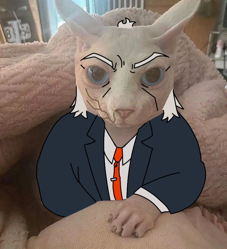 Roadykill 🌐🐇 tweet media
