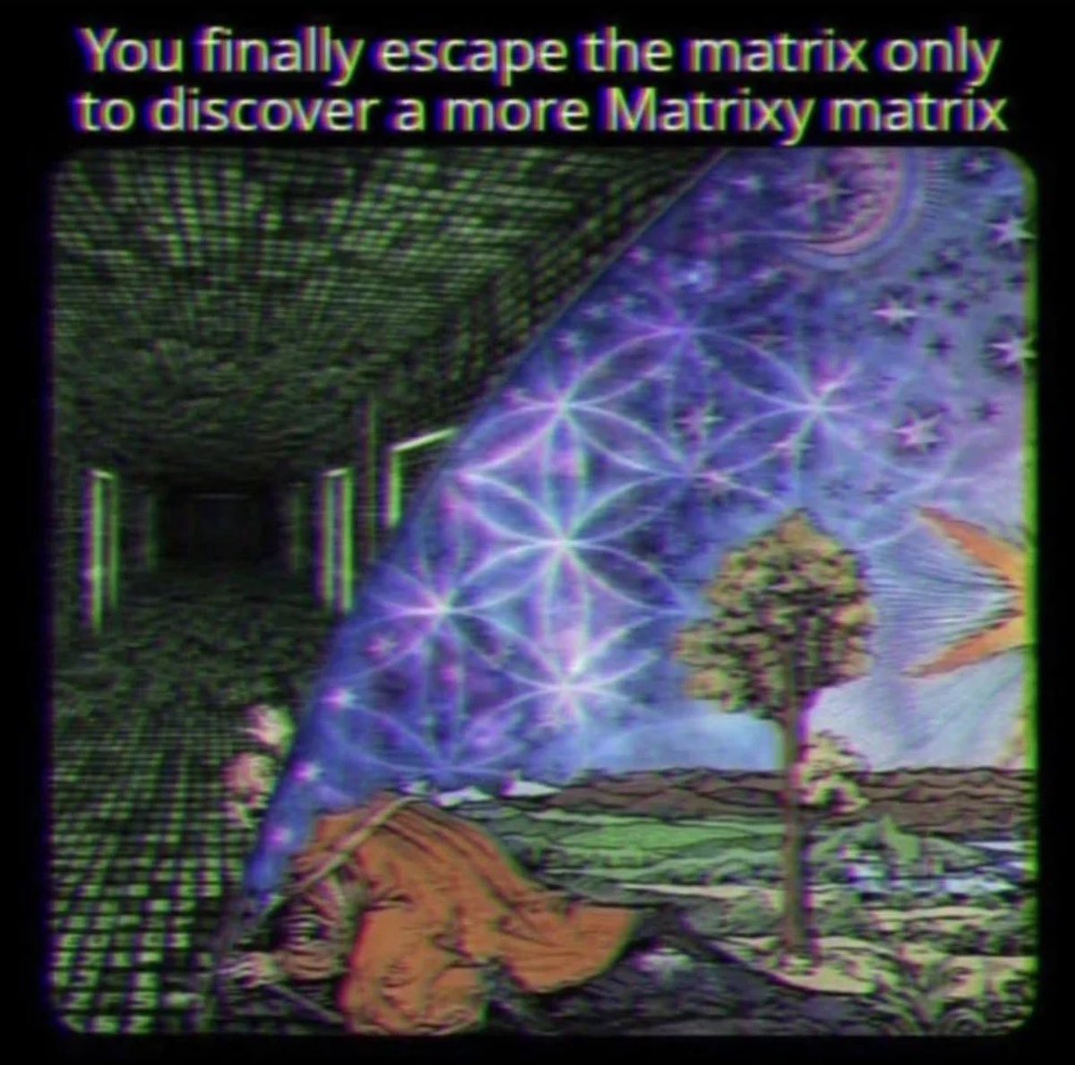 Alien Perspective tweet media