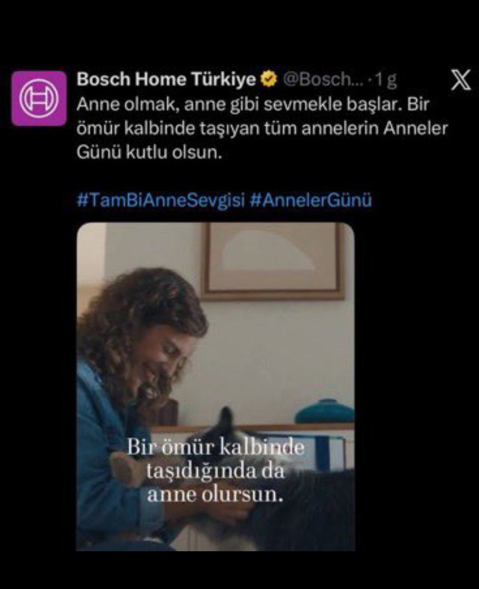 Ponçik REİS🫅🏻 tweet media