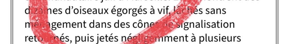 julien tweet media