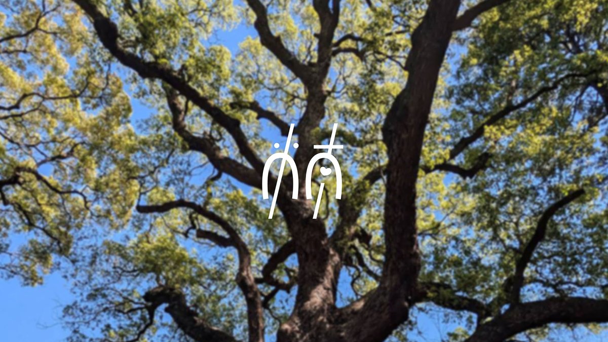 zz2oxo's tweet photo. 楠
#作字 #タイポグラフィ #typography https://t.co/0fVfsj0Jax