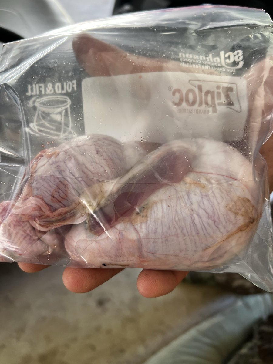 CajunAsian tweet media