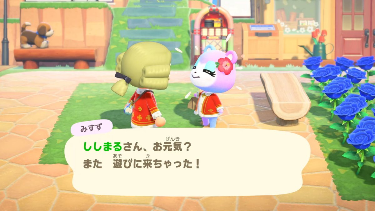 ししまるちくわ🐾 tweet media