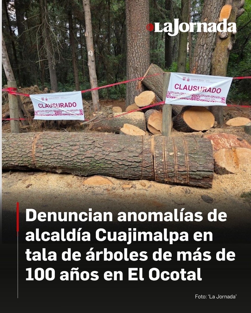 La Jornada tweet media