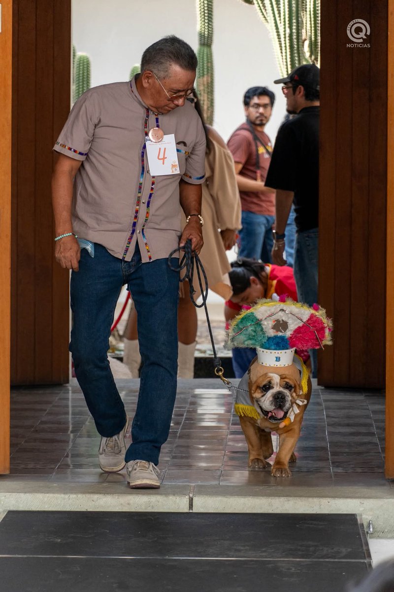 CentralQNoticia's tweet photo. LA PASARELA MAS "PERRONA" CON MOTIVOS OAXAQUEÑOS 🥰🐶
Ésta es la clase de pasarela que supera a cualquiera de alta costura y moda. 🙈🐕❤️
Nota: https://t.co/dnAzfmXSgE
#CentralQNoticias #Oaxaca #Noticias #Perritos #Pasarela #Disfraces
https://t.co/LtmWu6taJ3 https://t.co/afDWaR2Tkh