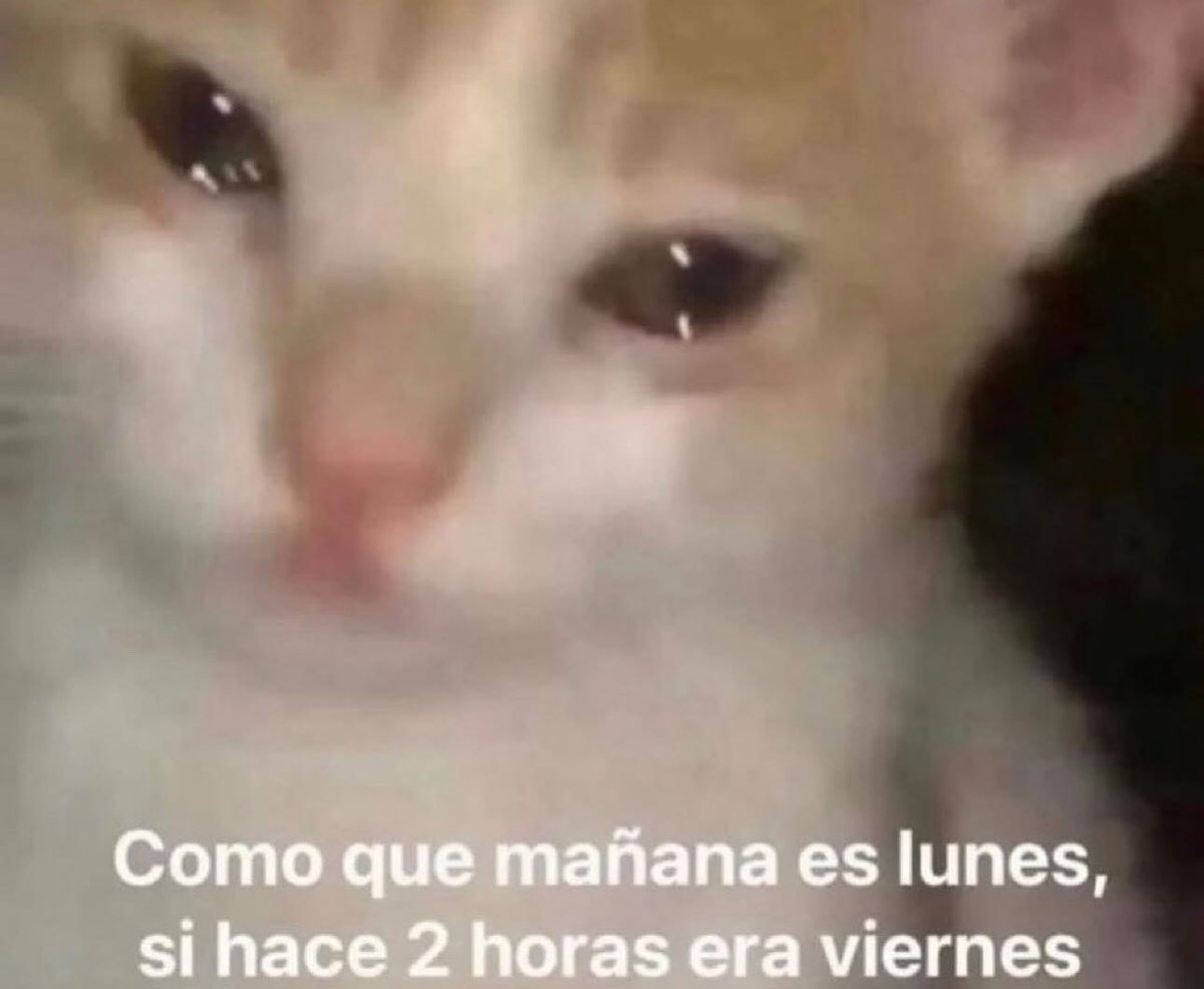 piña sin pizza tweet media
