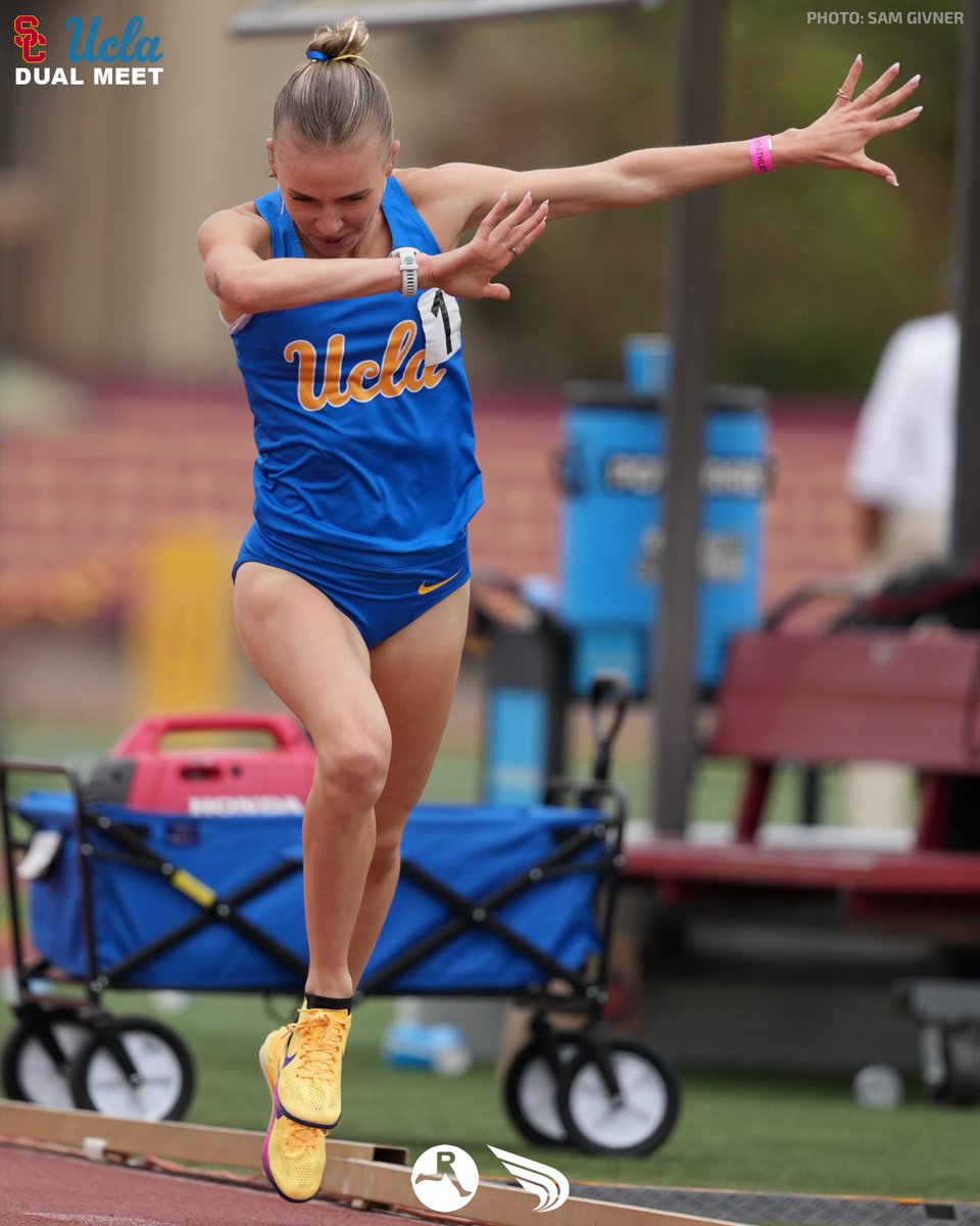 DyeStat tweet media