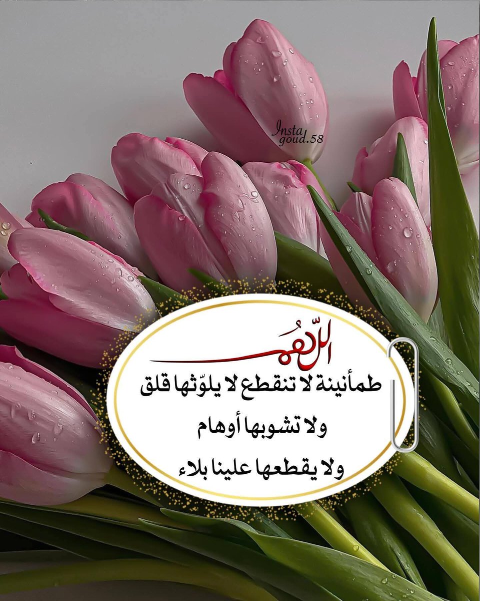💎ملكة الألمااااس 👑 S💖✨ tweet media