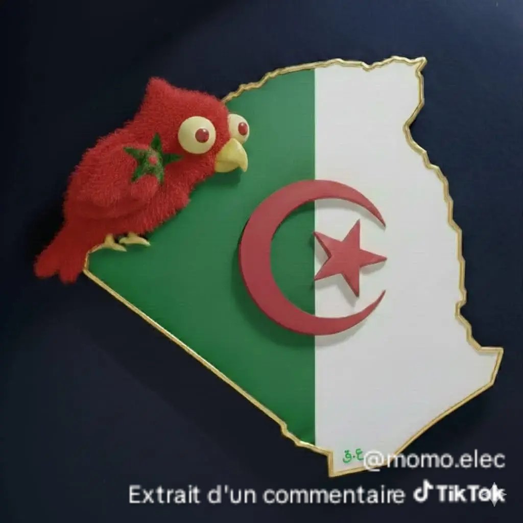 Freedom 🇩🇿🇵🇸✌️ tweet media