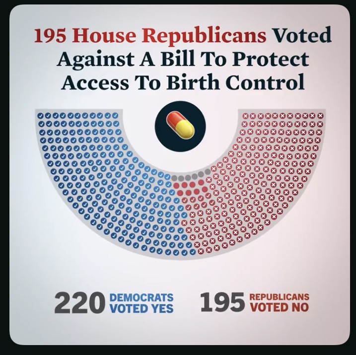 ablueview's tweet image. 🧵3/3 They're Coming After Birth Control

The way to fight back: #BlueWave #BlueWave2026