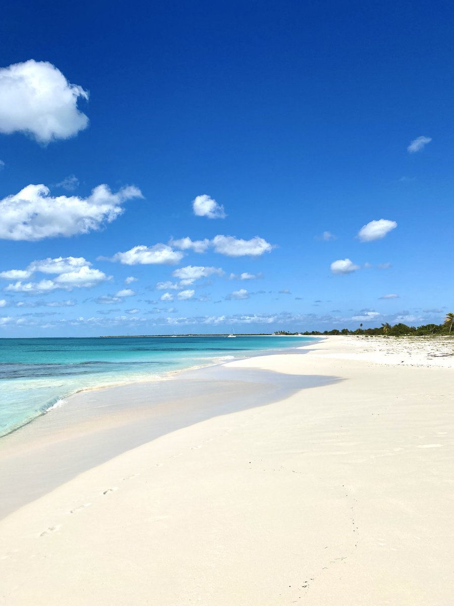 Ade_W's tweet photo. Beautiful Barbuda 🇦🇬🇦🇬 https://t.co/s6wdiyelyH