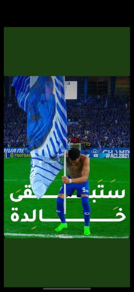 The Saudi Lion tweet media