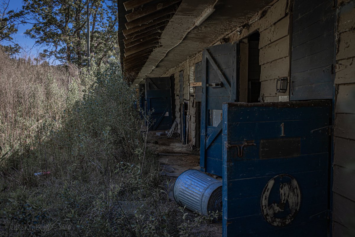 milfireguy's tweet photo. Once filled with hoofbeats and morning routines… now just wind and weeds clocking in. Time didn’t take this place all at once, it just kept showing up.

#MericaPhotos #AbandonedAmerica #Lowcountry #Americana https://t.co/Ed5kv86wPI