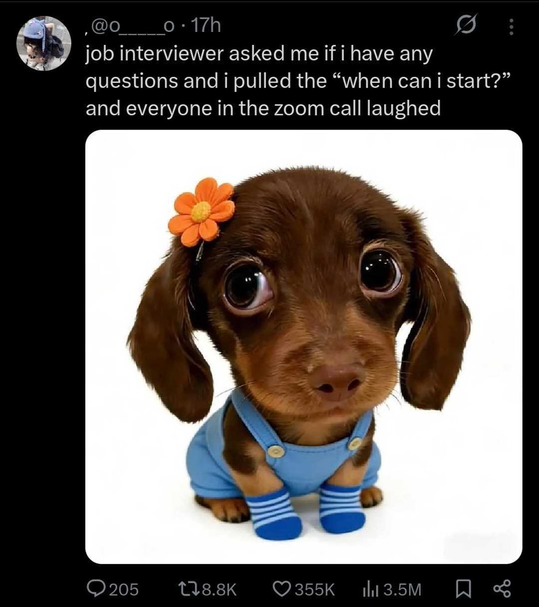 WallStreetOasis's tweet image. 🔥 we love the confidence

#memes #workmemes #corporatehumor