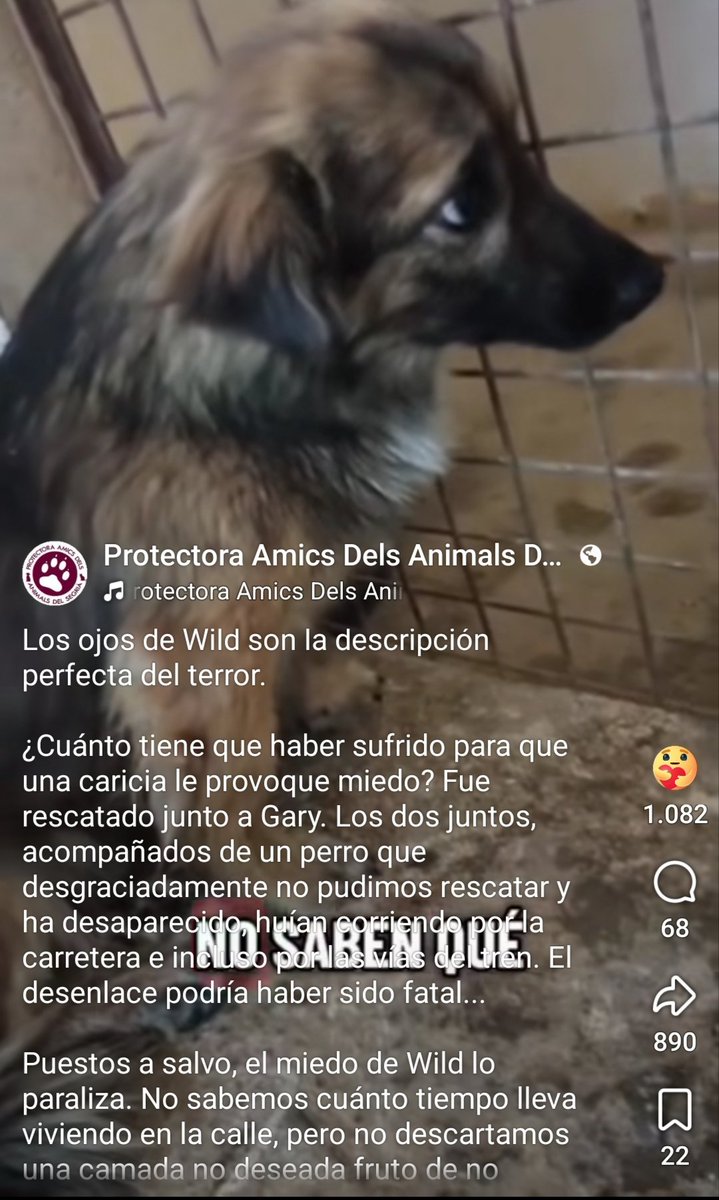 María Viñuela del Jeso tweet media