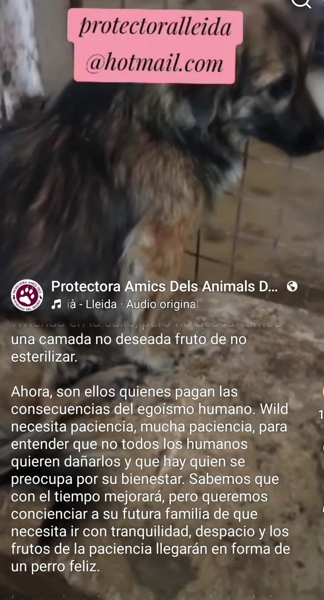 María Viñuela del Jeso tweet media
