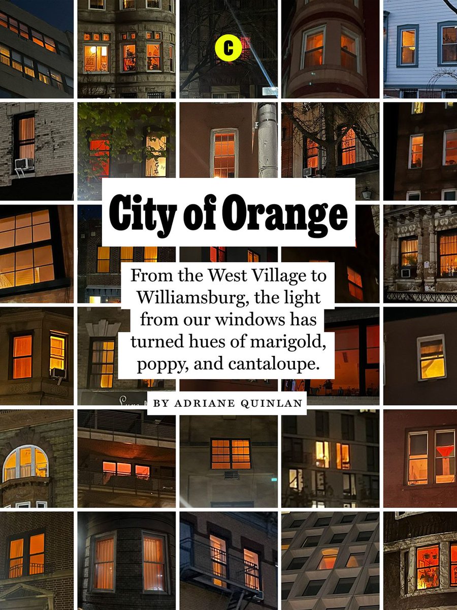 New York Magazine tweet media
