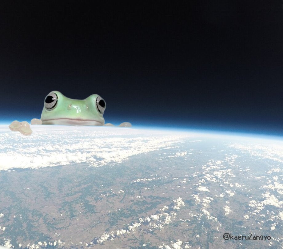 🇯🇵かえる 🇺🇸Frog tweet media