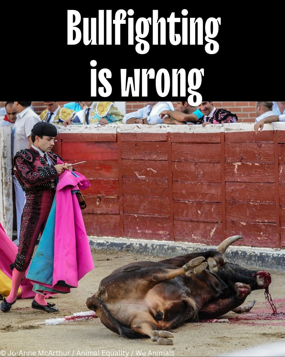 PETA UK tweet media